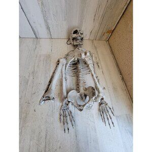 Skeleton AS‎ IS jointed hanging Halloween home decor prop scary